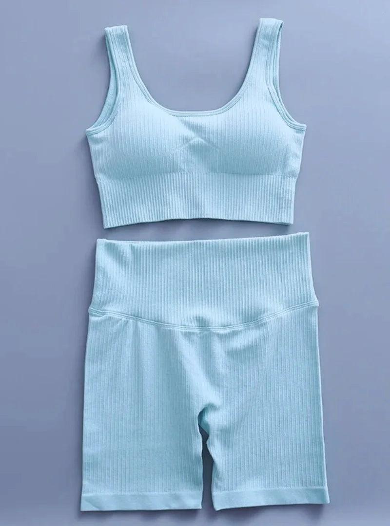Conjunto de Roupa Fitness Feminino
