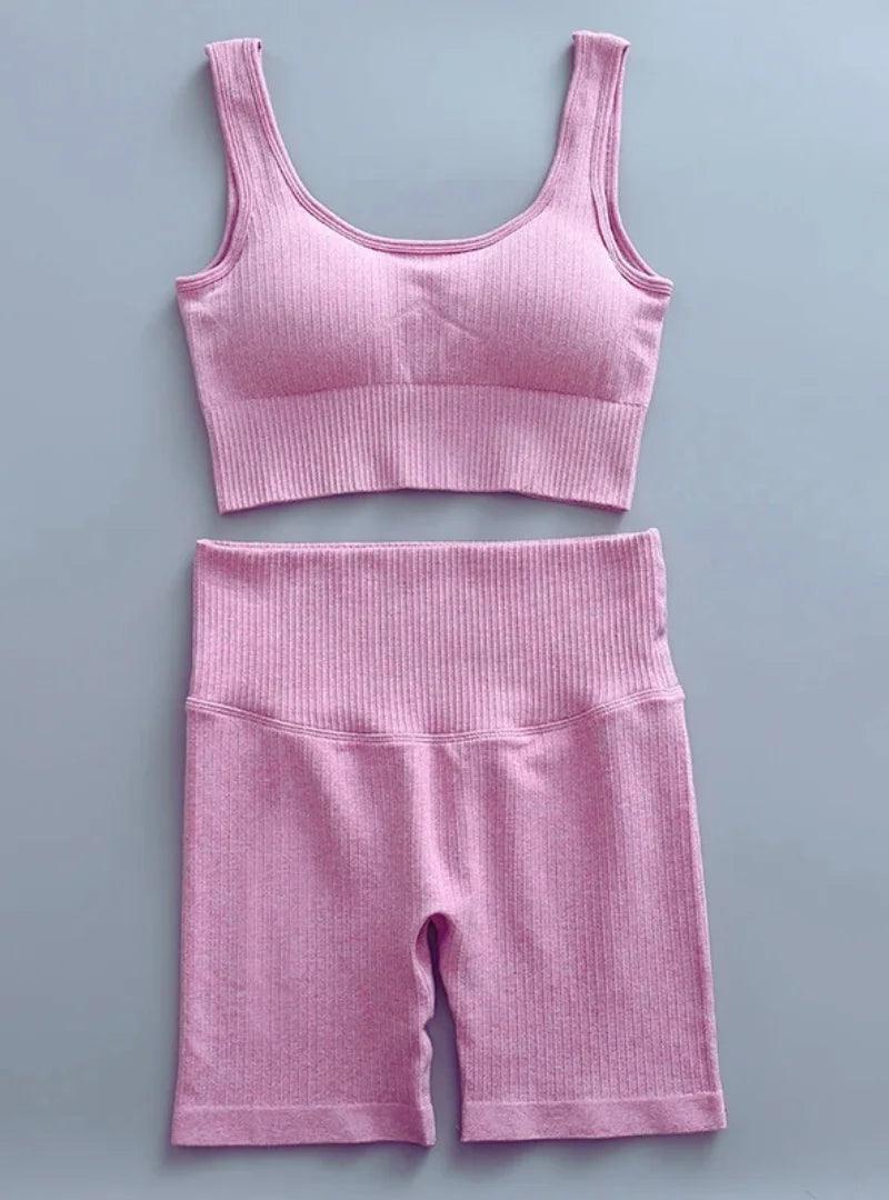 Conjunto de Roupa Fitness Feminino